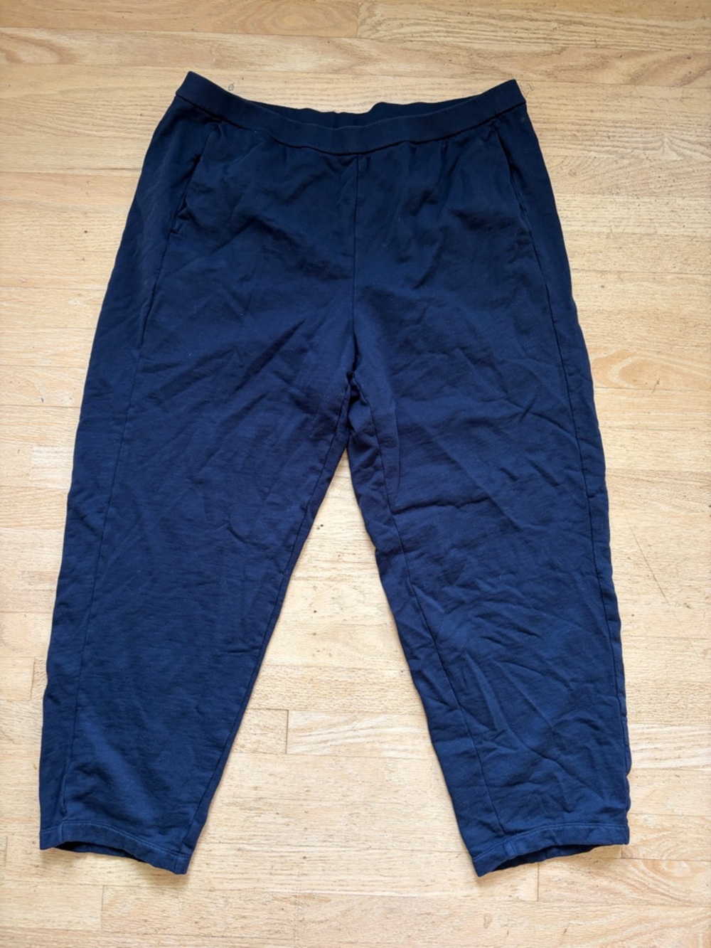 Eileen Fisher casual pants pull-on elastic waist size XL pockets